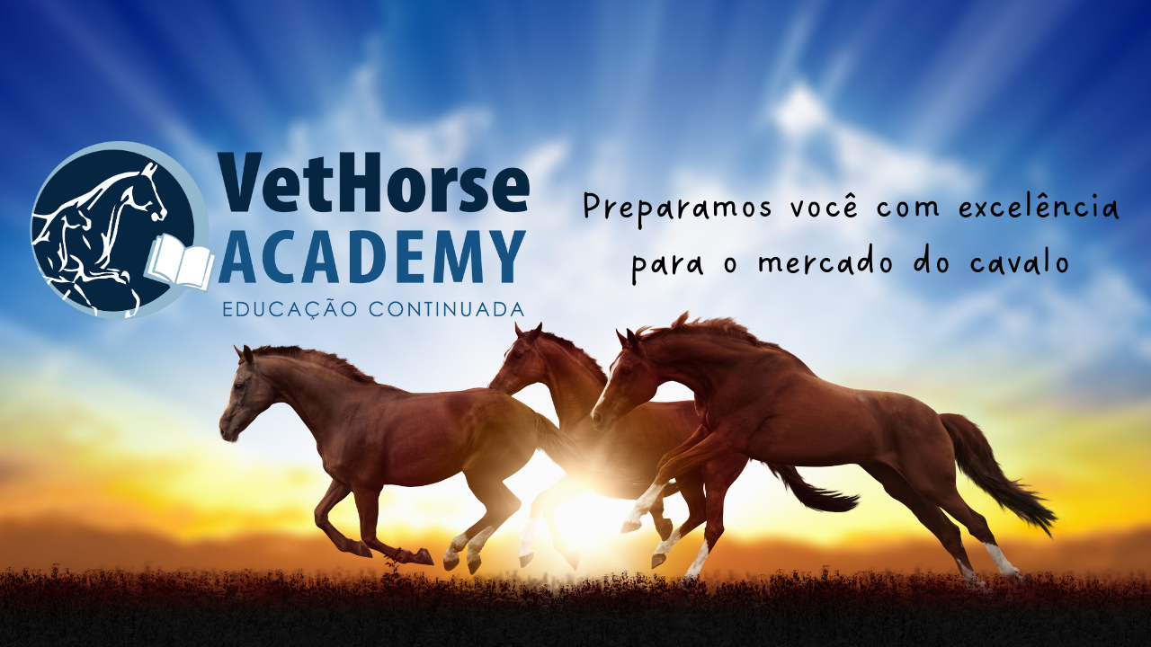 VetHorse